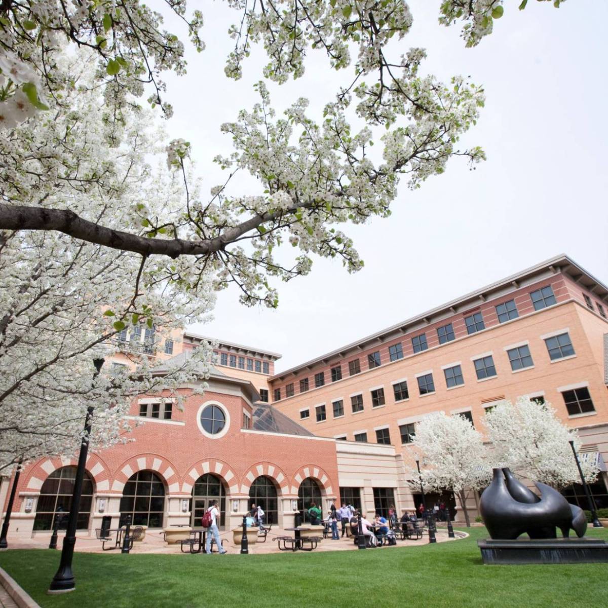 CECI Advising Center